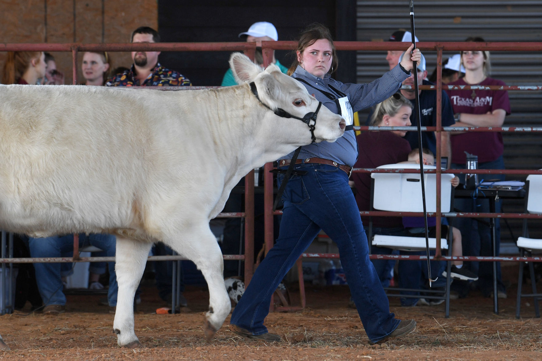 BTHO Coronavirus show
